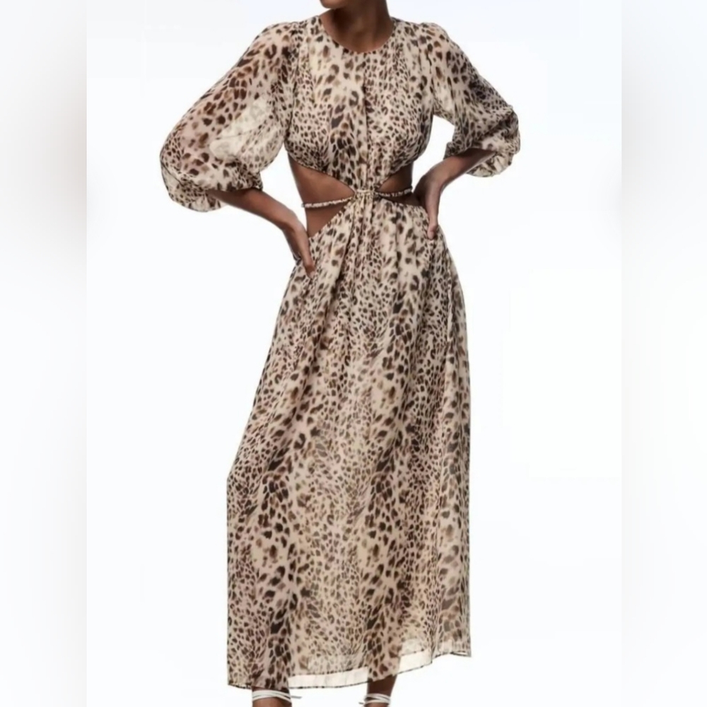 Zara NWT. Animal Print Dress Leopard